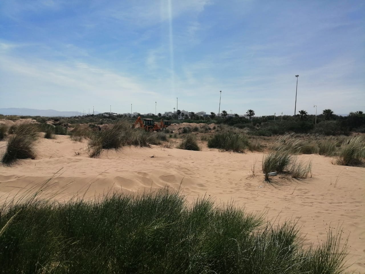 Les dunes de Saidia : Le SOS des écologistes
