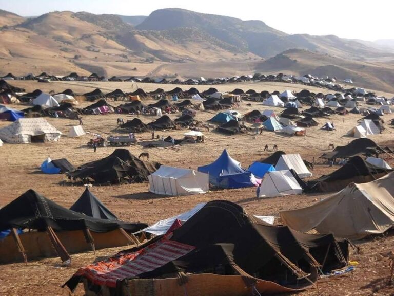 9D97DB03 BC76 4AA2 96C9 6D8641F27DDD