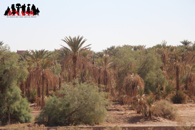 ENASS Zagora Report Climate Change 7 1 fotor