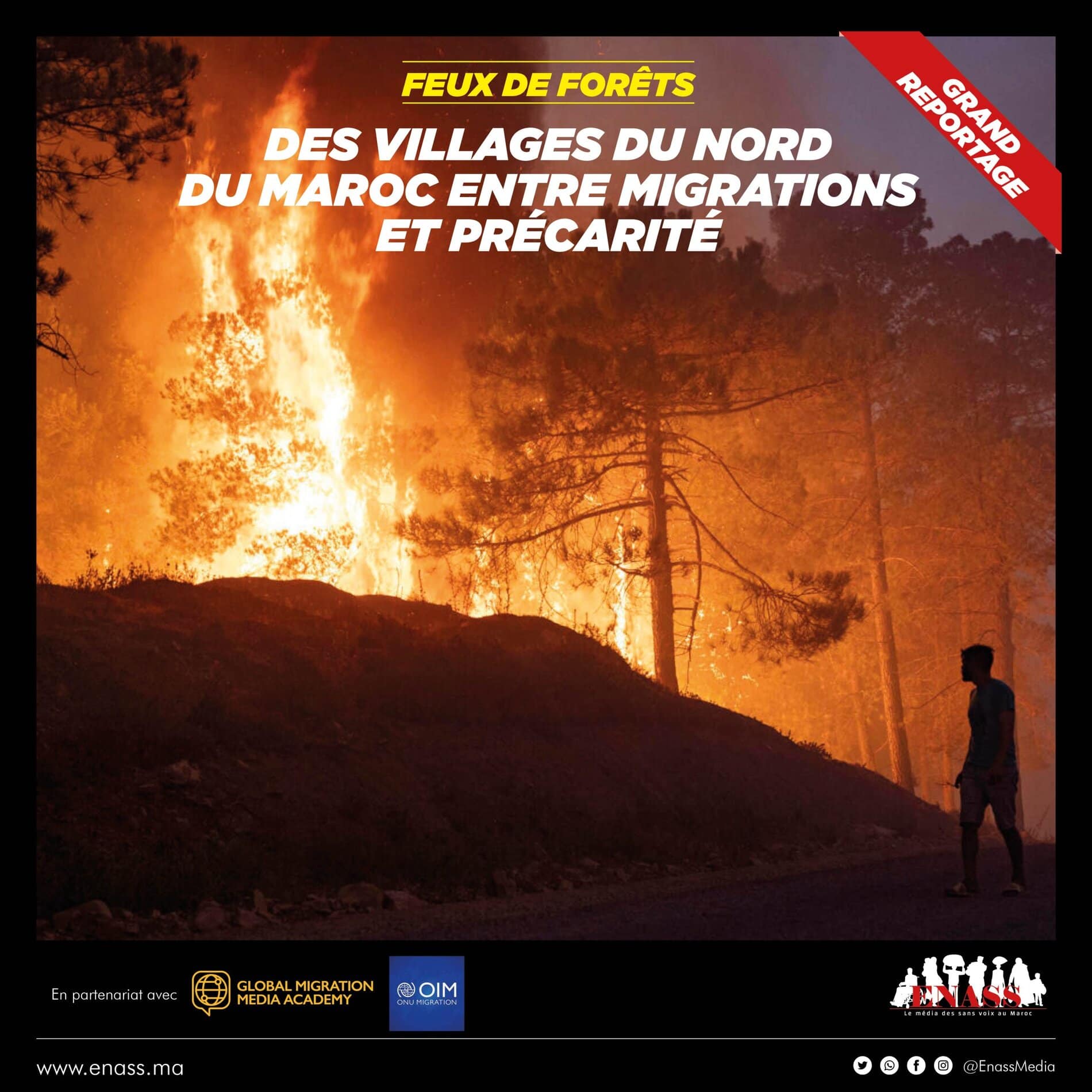 L'utilisation des Forêts Aléatoires pour prédire la survie