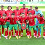 Lions de lAtlas