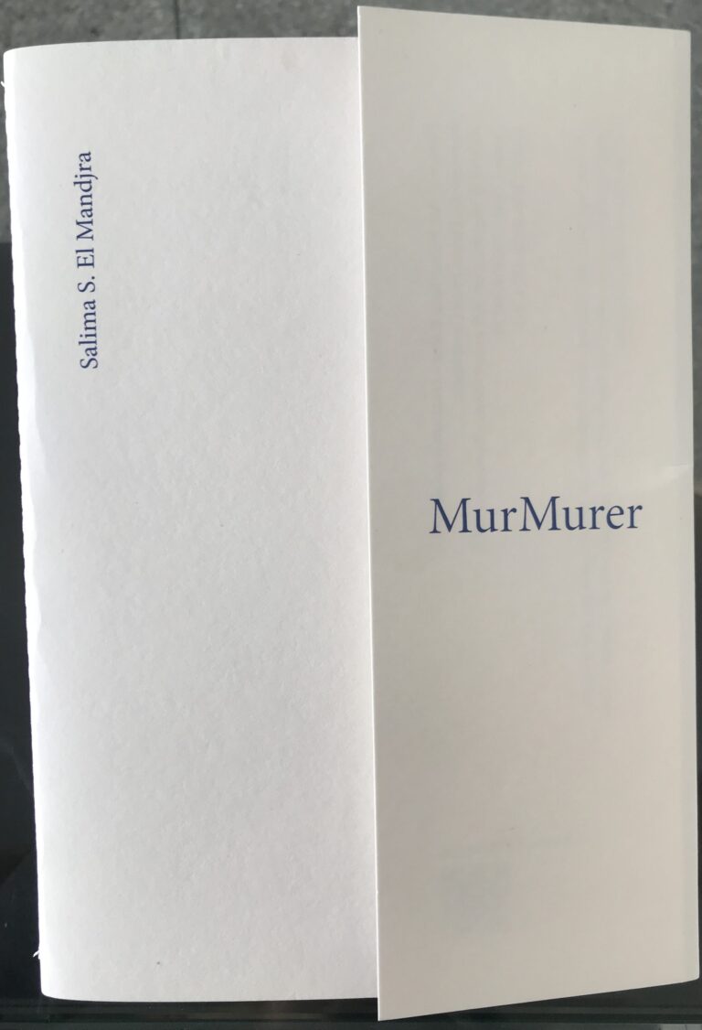 MurMurer scaled