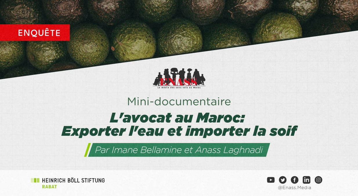 Crea article avocat vd