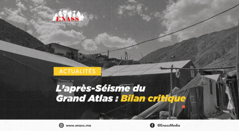 Crea article bilan