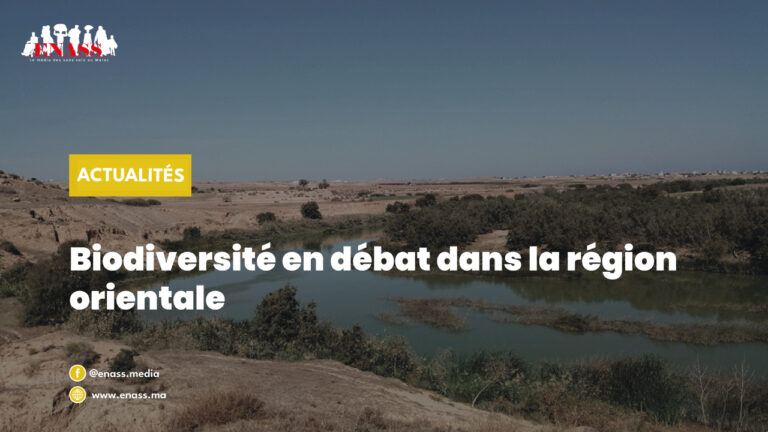 Crea article can