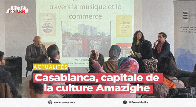 Crea article canva
