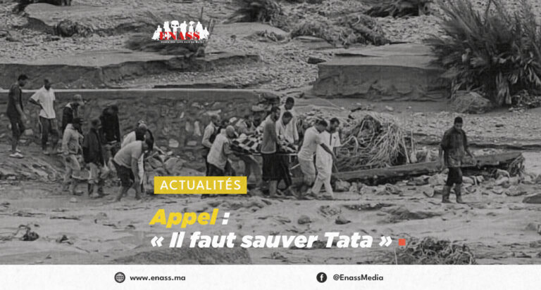 Crea article canva Retaat