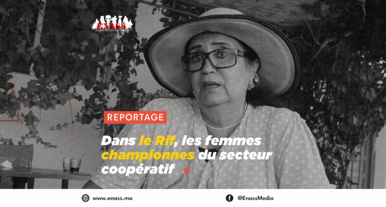 Crea article canva le rif
