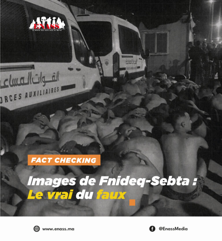 Crea article fact