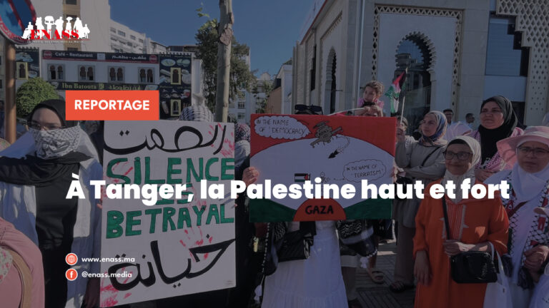 Crea article palestine07