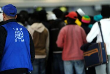 Iom staff 2