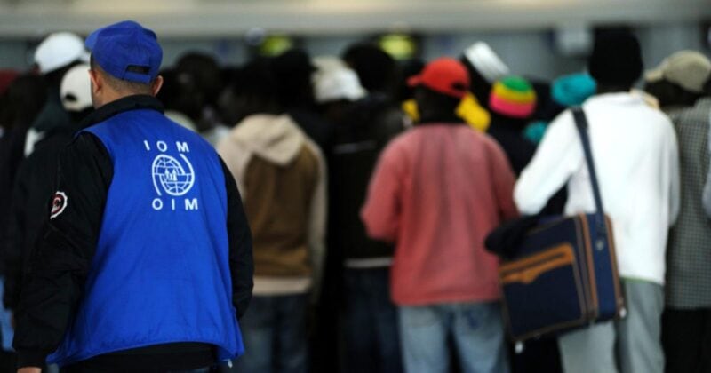 Iom staff 2