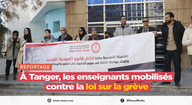 Ll crea article canva greve